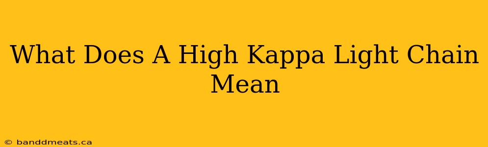 What Does A High Kappa Light Chain Mean