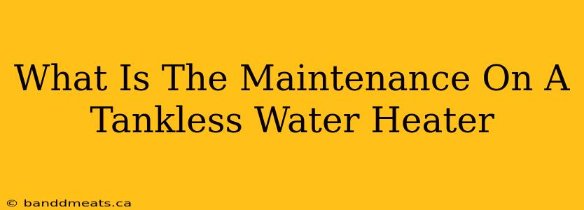 What Is The Maintenance On A Tankless Water Heater