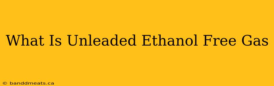 What Is Unleaded Ethanol Free Gas