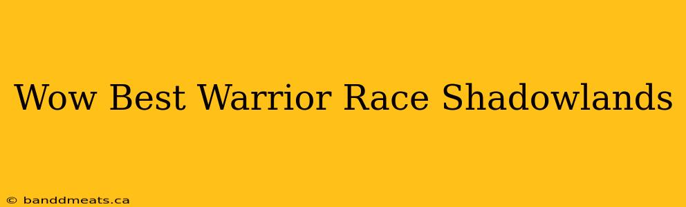 Wow Best Warrior Race Shadowlands